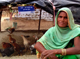Women Empowerment Empowering through easy livelihood options like poultry