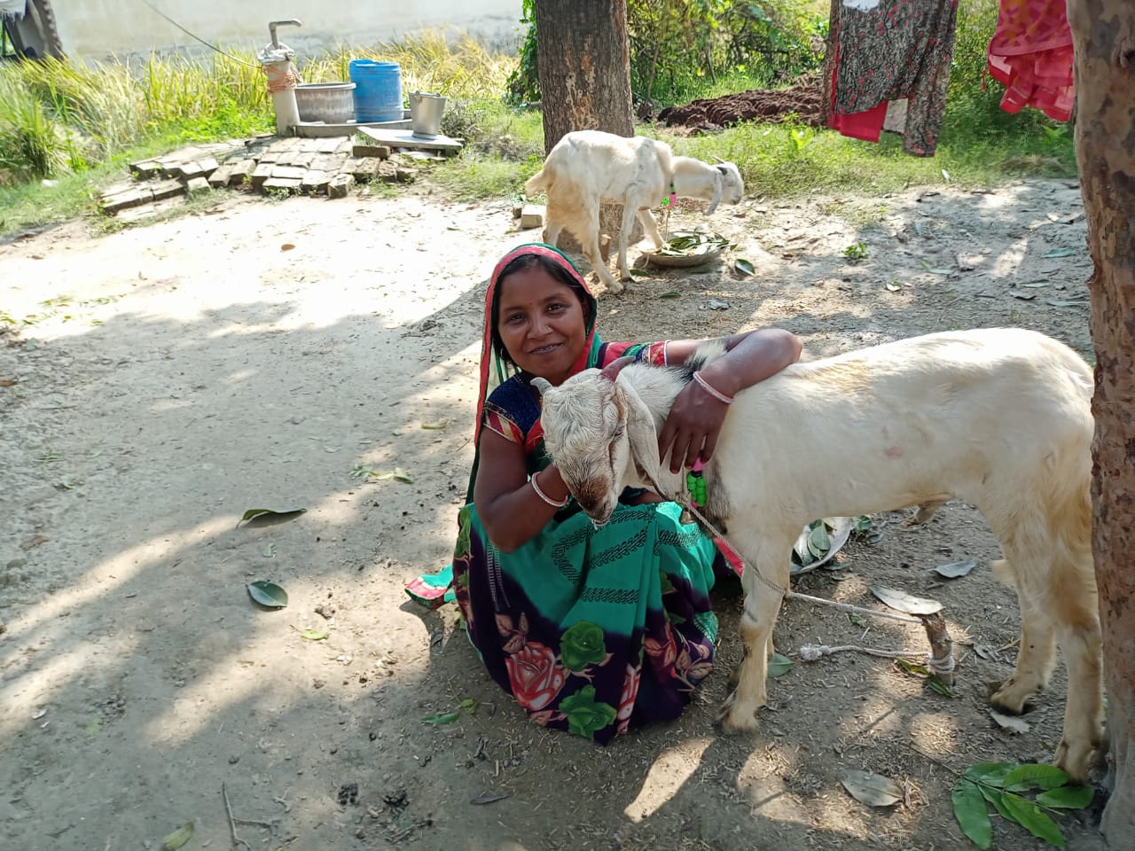 Holistic Rural Development Program in Chhattisgarh for raising the living standards of rural hinterland through infrastructural investment and human development in 24 selected villages of Takhatpur, Tamnar, Kharsiya blocks of Bilaspur and Raipur.